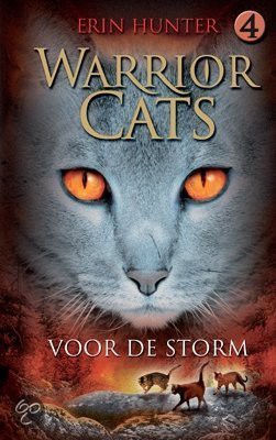 serie 1 boek 4 voor de storm